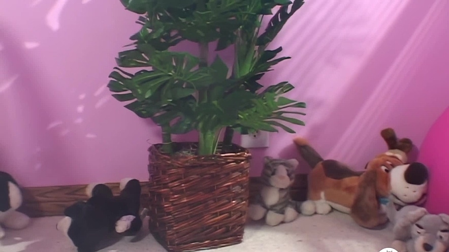 JamesDeen-Courtney Cummz, James Deen-Dorm Room Corruption from James Deen